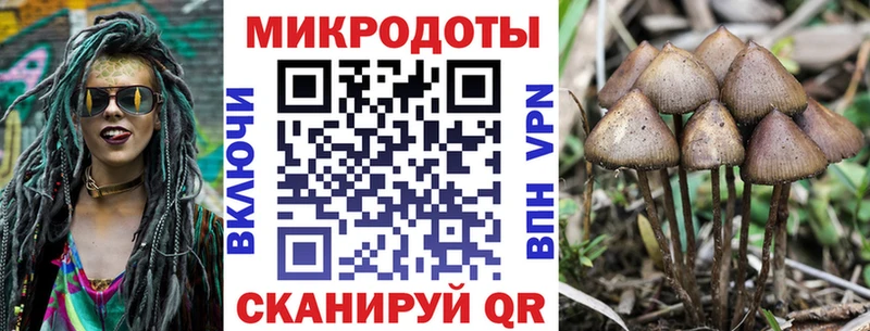 Купить где  Карпинск  Галлюциногенные грибы мицелий 