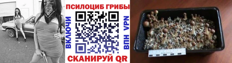 Галлюциногенные грибы GOLDEN TEACHER Карпинск